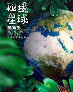 全民烧脑3去广告版
